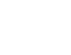Electronic Cats
